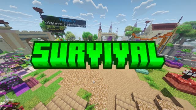 Survival server